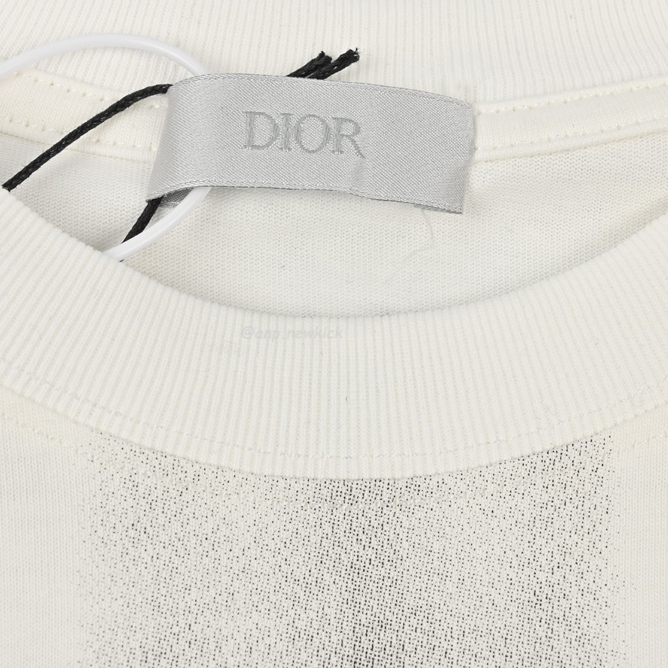 Dior Iron Tower Inkjet Short Sleeved T Shirt (7) - newkick.vip